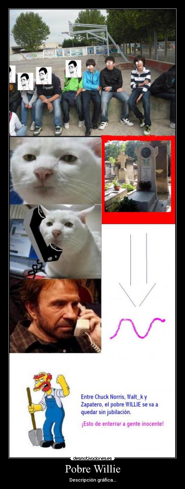 Pobre Willie - Descripción gráfica...