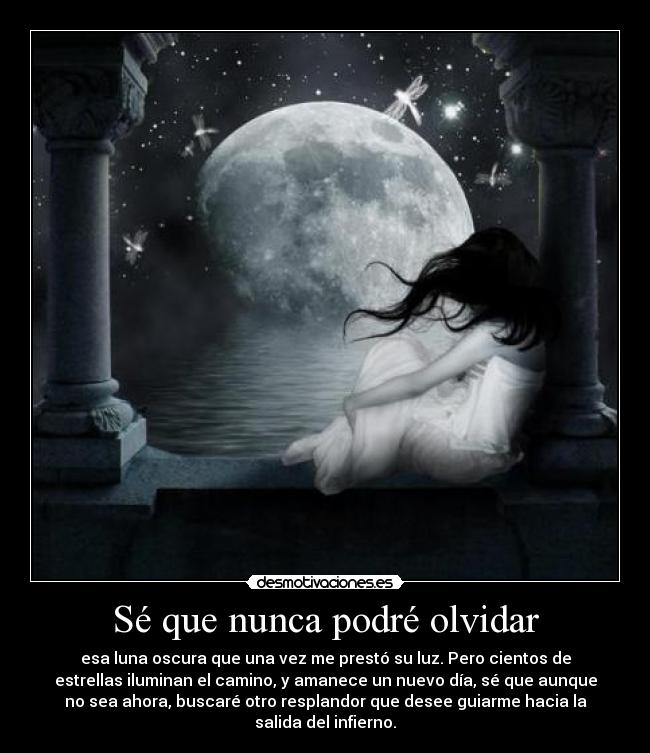 Sé que nunca podré olvidar - 