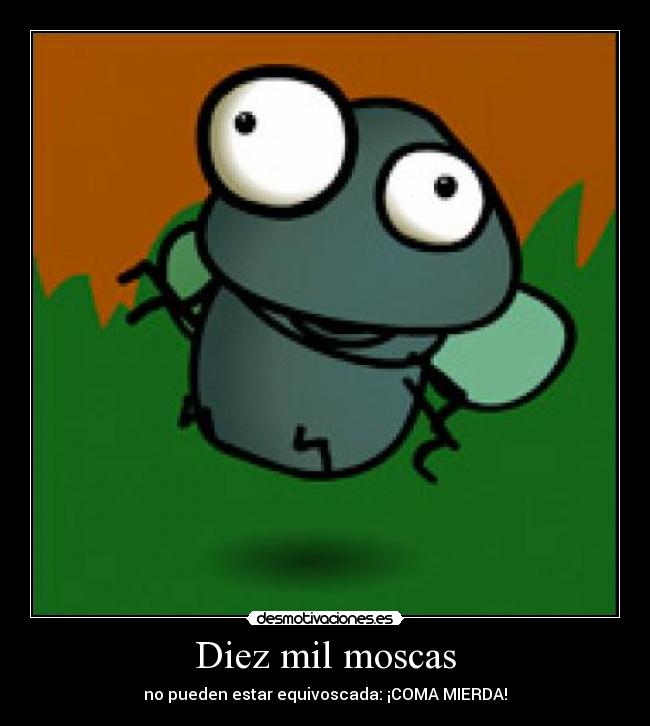 Diez mil moscas - 