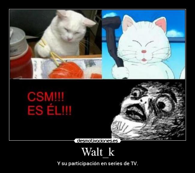 Walt_k - Y su participación en series de TV.