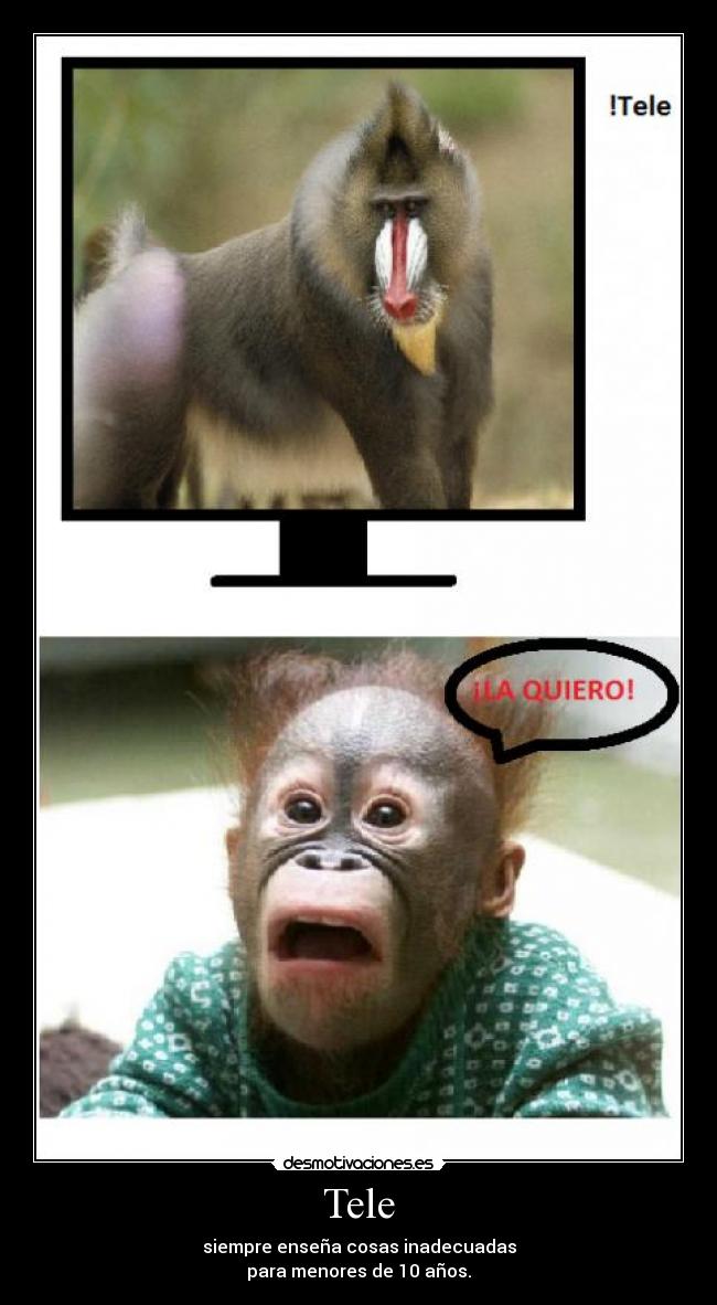 Tele - siempre enseña cosas inadecuadas
para menores de 10 años.