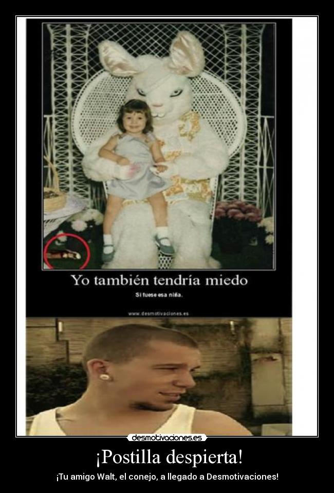 ¡Postilla despierta! -