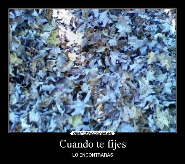 Cuando te fijes - LO ENCONTRARÁS