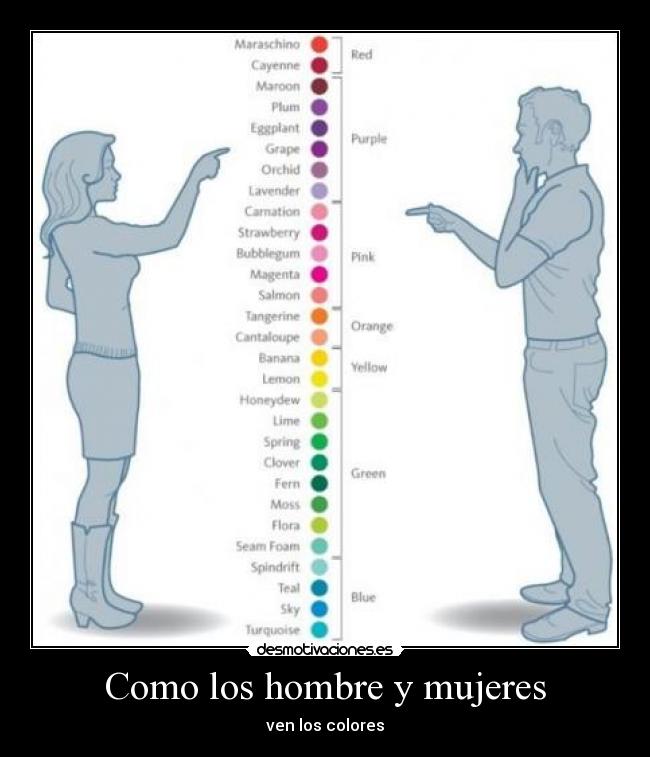 Como los hombre y mujeres - ven los colores