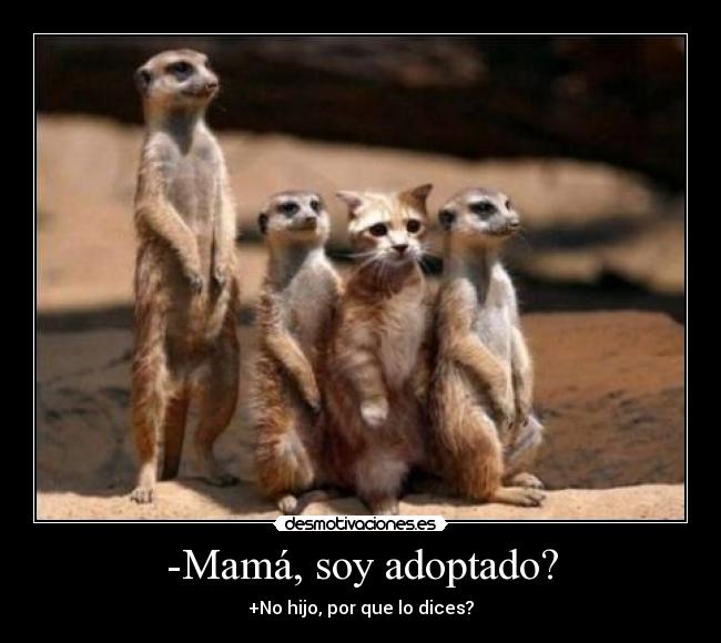 -Mamá, soy adoptado? -