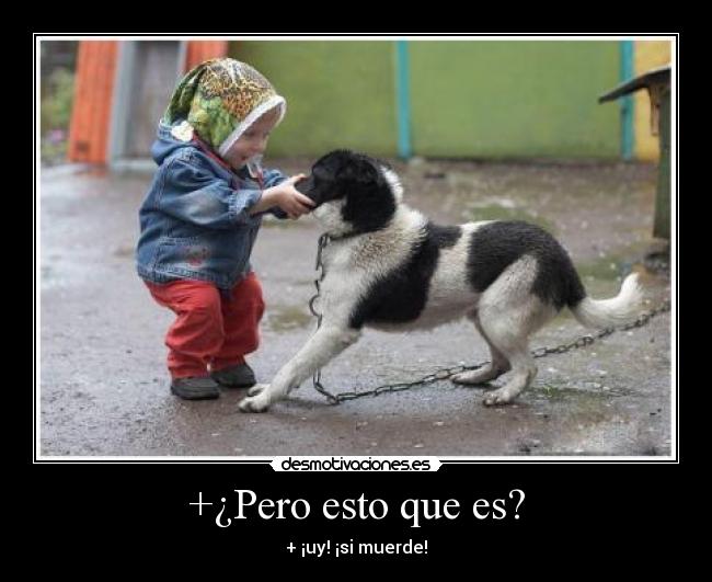 carteles perro desmotivaciones