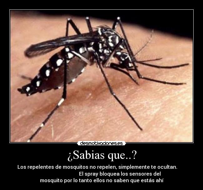 ¿Sabias que..? -