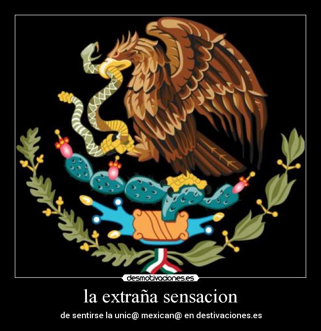 la extraña sensacion - de sentirse la unic@ mexican@ en destivaciones.es