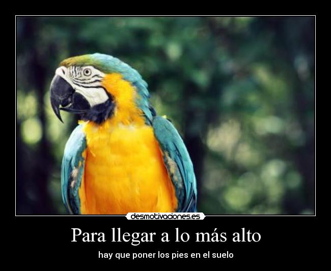 Para llegar a lo más alto - hay que poner los pies en el suelo