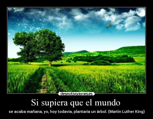 Si supiera que el mundo  - se acaba mañana, yo, hoy todavía, plantaría un árbol. (Martin Luther King)