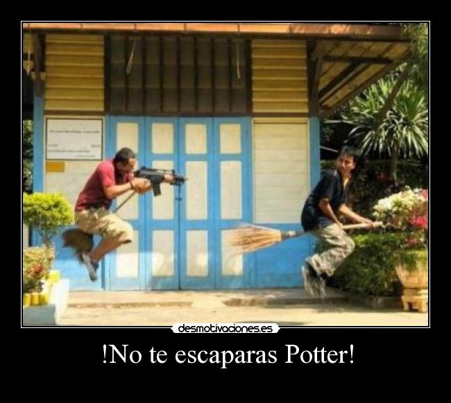 carteles potter desmotivaciones