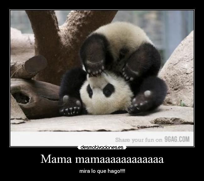 Mama mamaaaaaaaaaaaa -