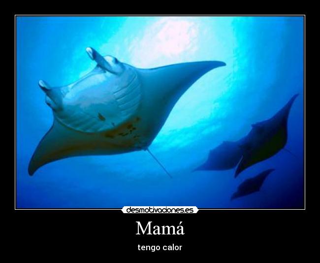 carteles mama desmotivaciones