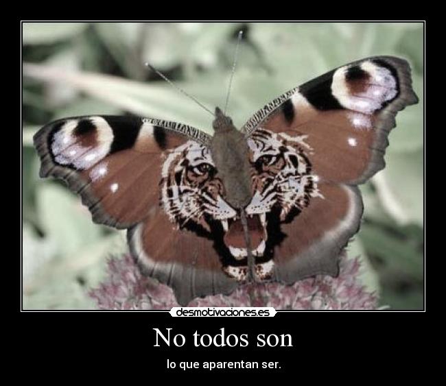 No todos son - 