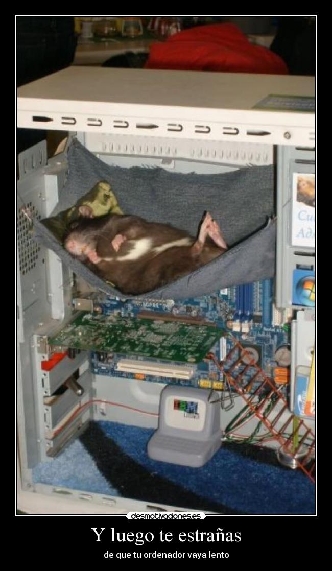 Y luego te estrañas - 