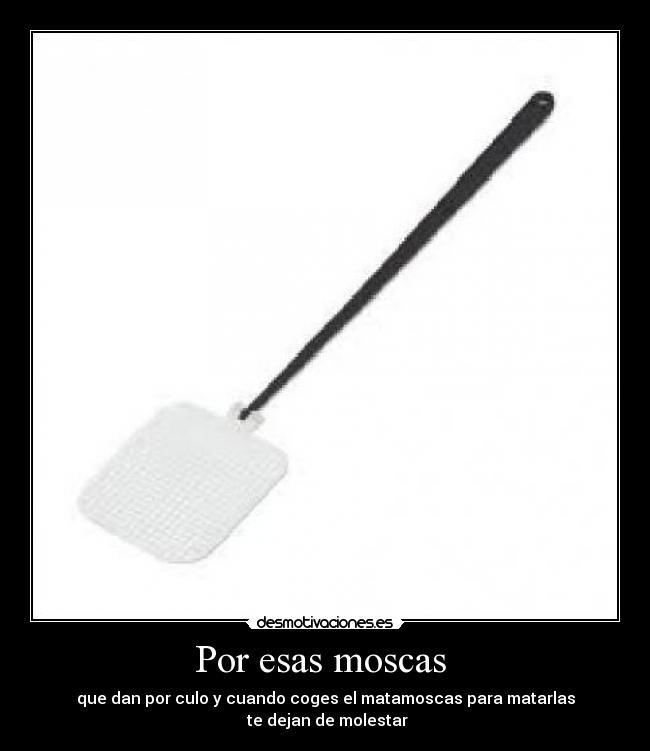 Por esas moscas  - 