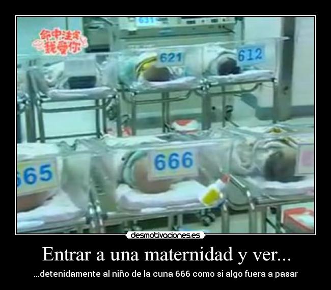 Entrar a una maternidad y ver... - 