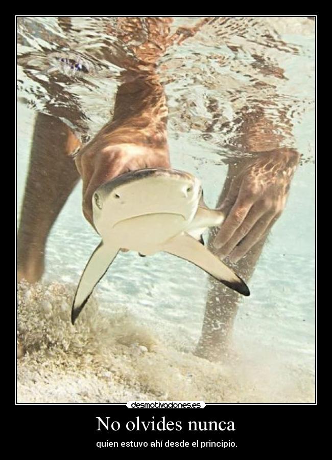 No olvides nunca - quien estuvo ahí desde el principio.