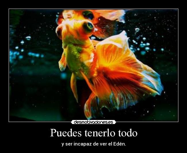 Puedes tenerlo todo - y ser incapaz de ver el Edén.