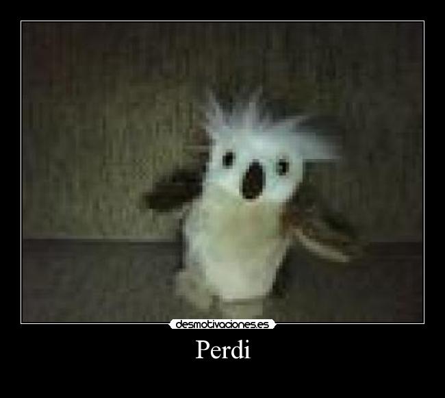Perdi -