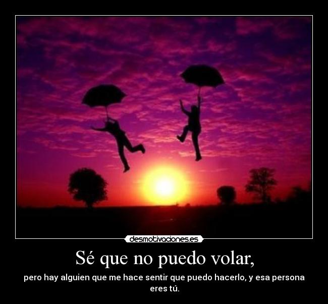 Sé que no puedo volar, - pero hay alguien que me hace sentir que puedo hacerlo, y esa persona eres tú.