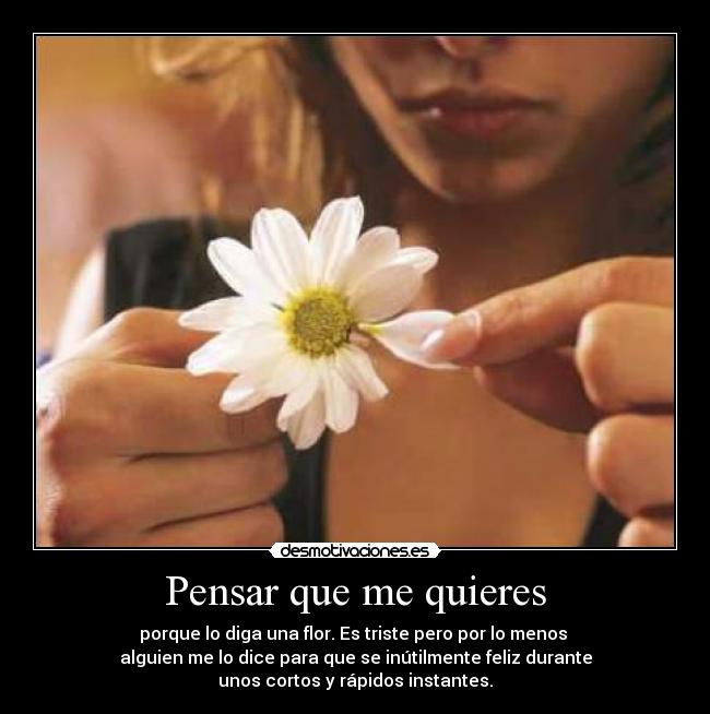 Pensar que me quieres - 