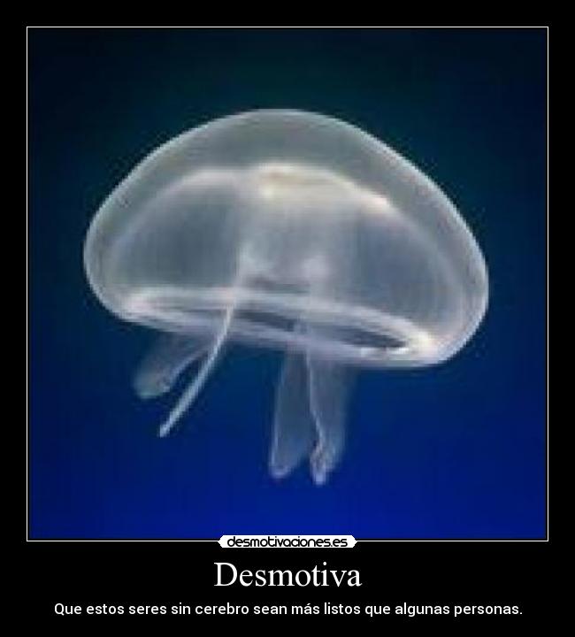 Desmotiva -