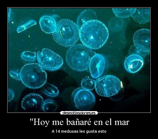 Hoy me bañaré en el mar -