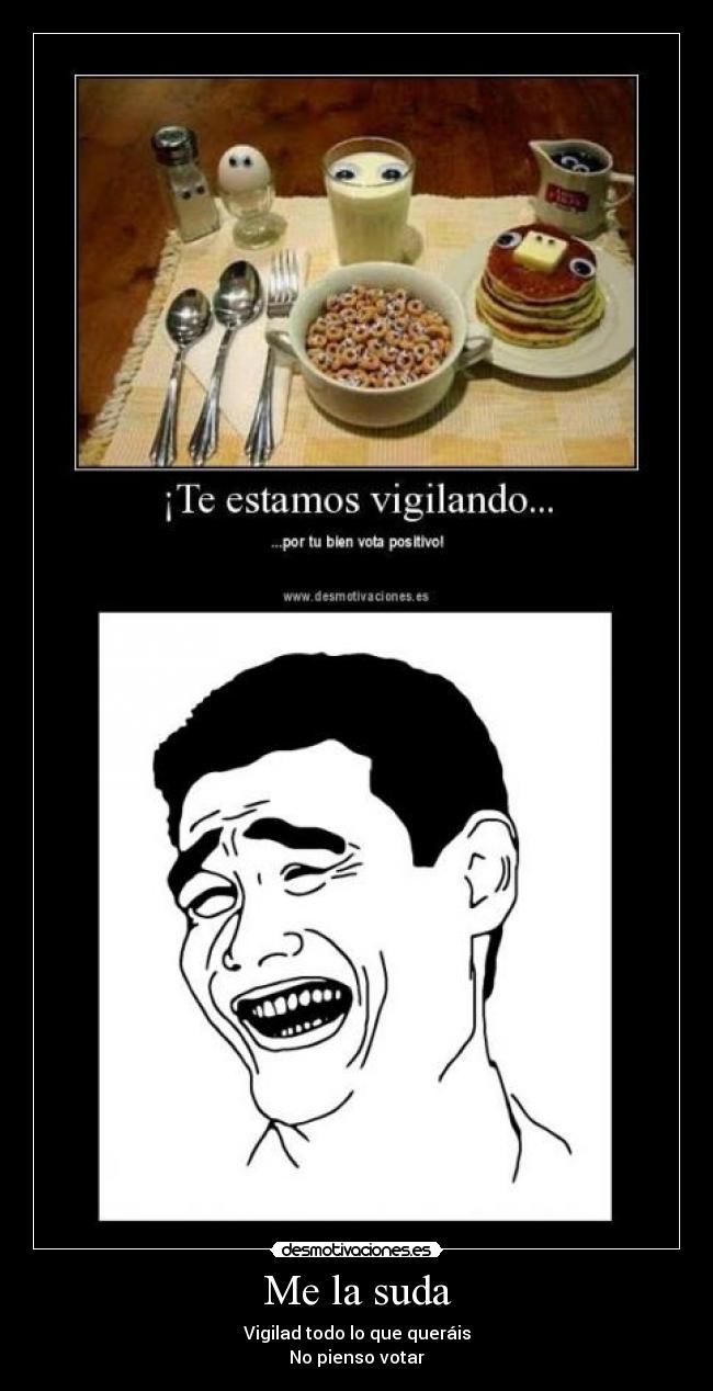 Me la suda - Vigilad todo lo que queráis
No pienso votar