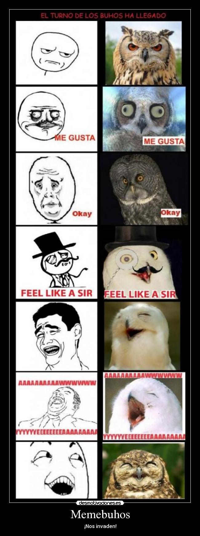 Memebuhos - ¡Nos invaden!