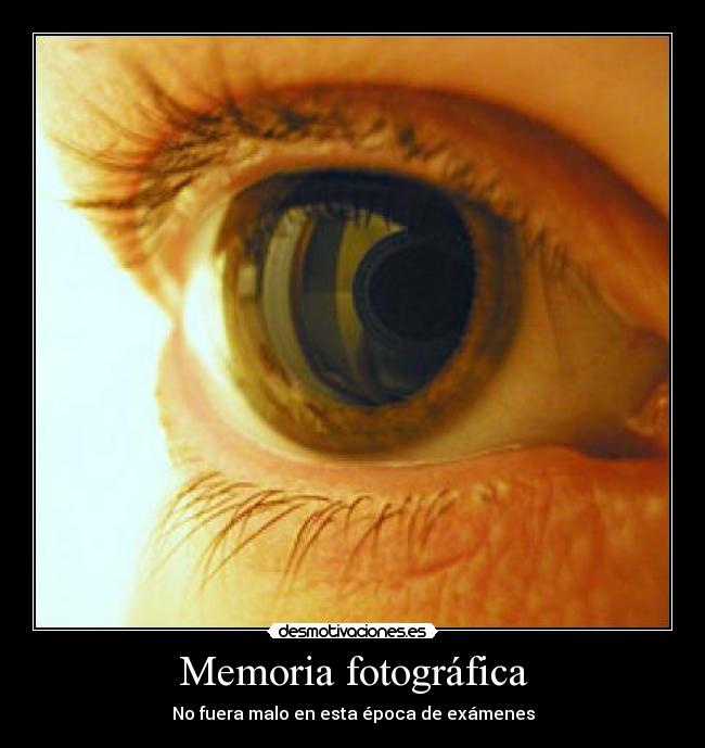 Memoria fotográfica -