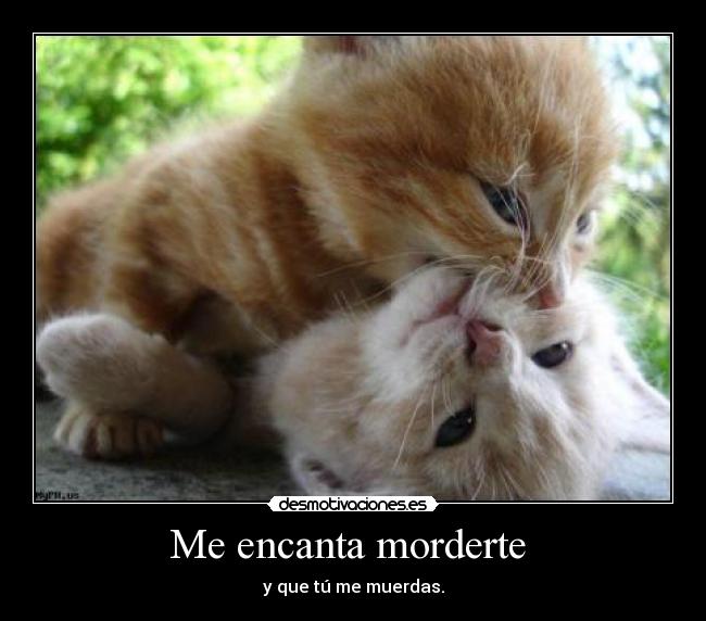 Me encanta morderte - y que tú me muerdas.