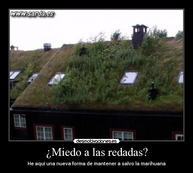 ¿Miedo a las redadas? - He aquí una nueva forma de mantener a salvo la marihuana