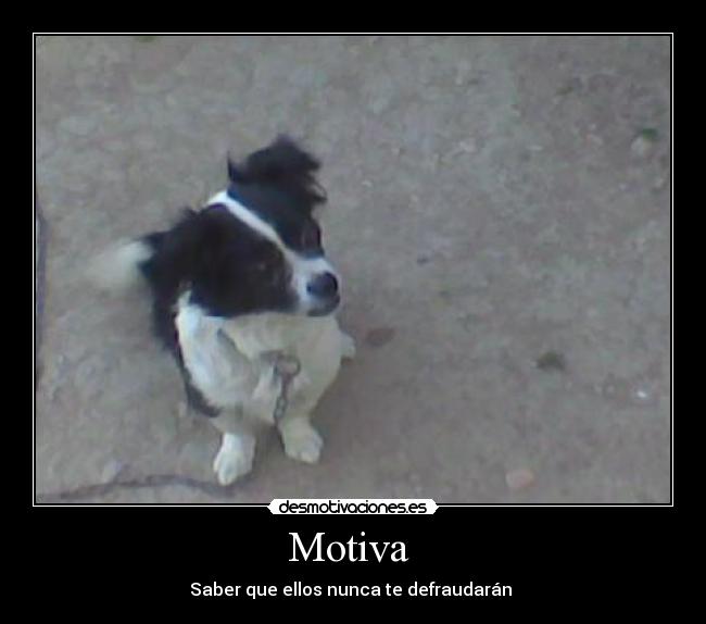 Motiva  - Saber que ellos nunca te defraudarán 