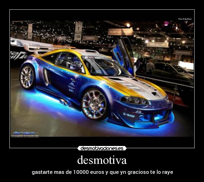 desmotiva - gastarte mas de 10000 euros y que yn gracioso te lo raye