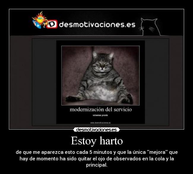 carteles gatosojo mejora cola principal desmotivaciones