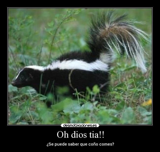 Oh dios tia!! -