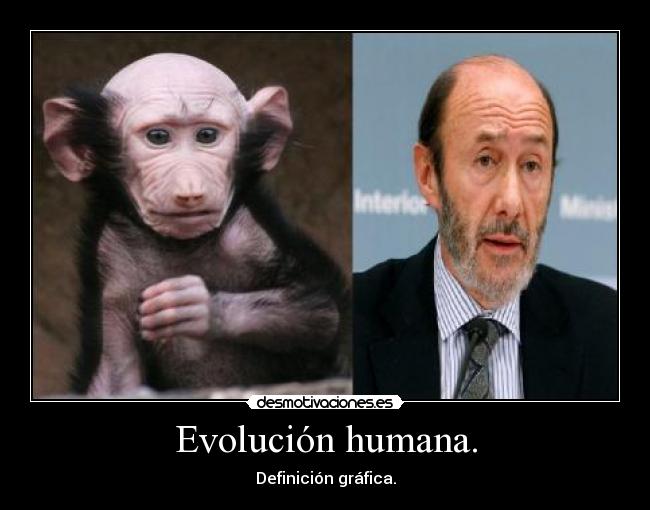 Evolución humana. - 