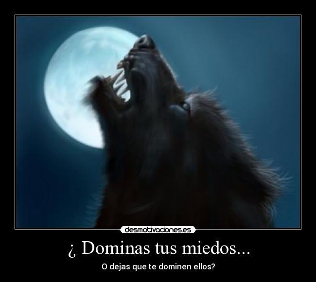 ¿ Dominas tus miedos... - O dejas que te dominen ellos?