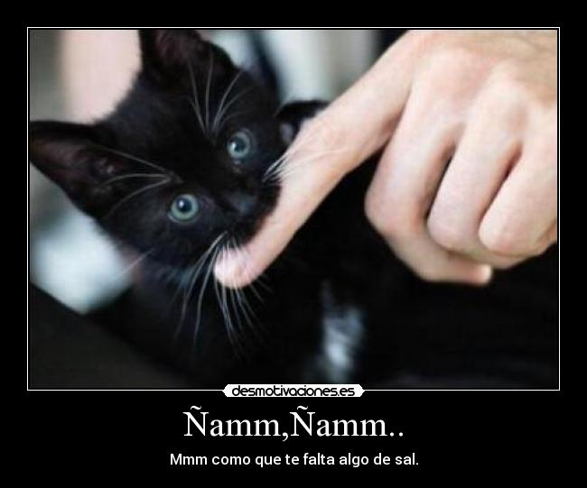 Ñamm,Ñamm.. - Mmm como que te falta algo de sal.
