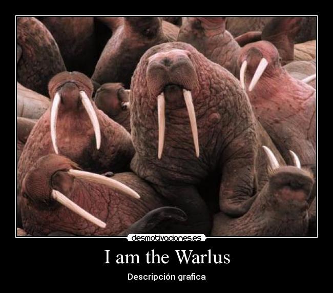 I am the Warlus - Descripción grafica