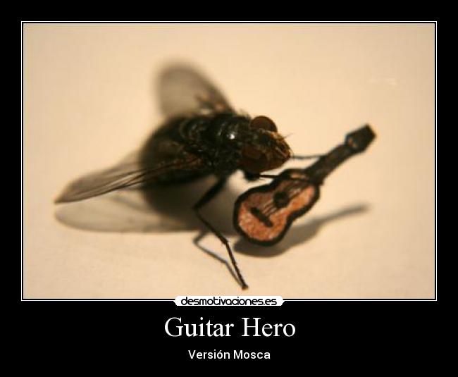 Guitar Hero -