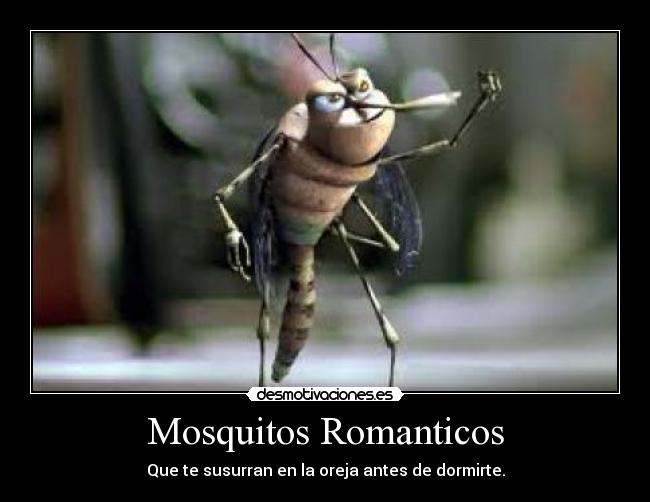 Mosquitos Romanticos - 