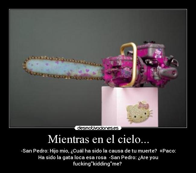 Mientras en el cielo... - -San Pedro: Hijo mio, ¿Cuál ha sido la causa de tu muerte? +Paco:
Ha sido la gata loca esa rosa -San Pedro: ¿Are you
fuckingkiddingme?
