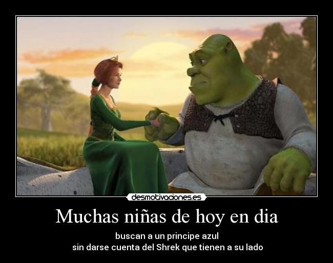 Muchas niñas de hoy en dia - buscan a un principe azul
 sin darse cuenta del Shrek que tienen a su lado