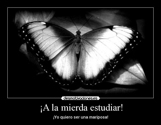 ¡A la mierda estudiar! - ¡Yo quiero ser una mariposa!