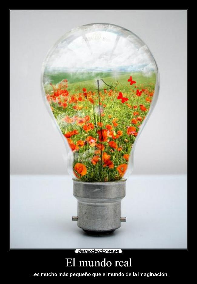 El mundo real - 