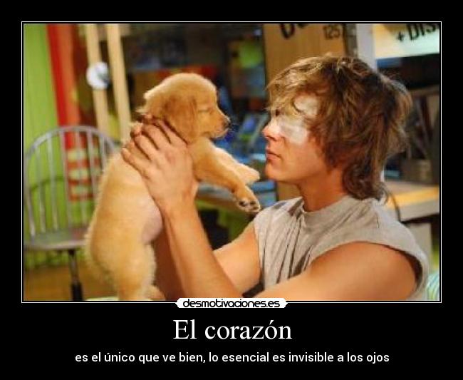 El corazón -