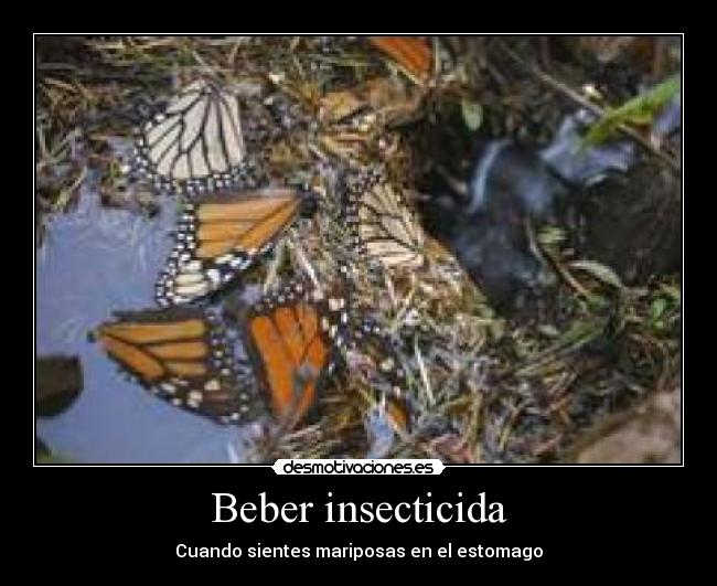 Beber insecticida -