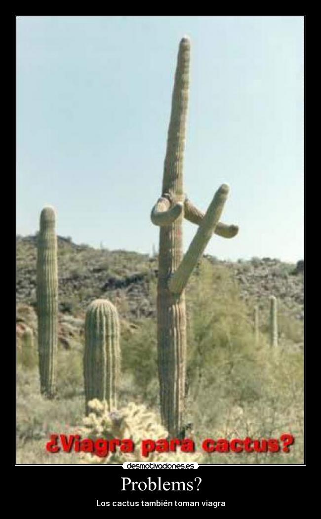carteles cactus desmotivaciones